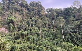 Ridho'S Homestay & Jungle Trekking